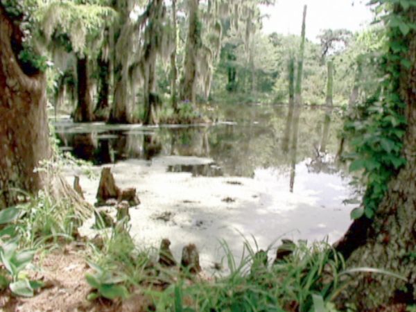 A Haunting - A Haunting in Florida