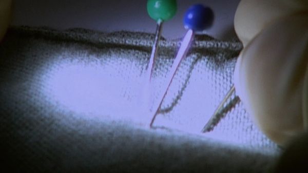 The New Detectives - Predators and Parasites