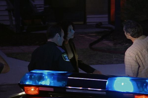 The New Detectives - Trial By Fire