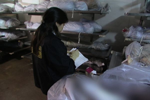 The New Detectives - Coroner Investigator