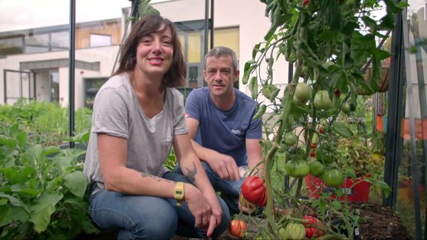Grow, Cook, Eat - Tomatoes – A Meal in Themselves