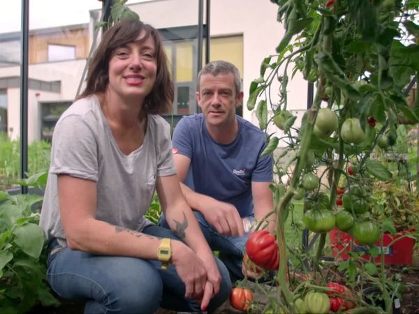 Grow, Cook, Eat - Tomatoes – A Meal in Themselves