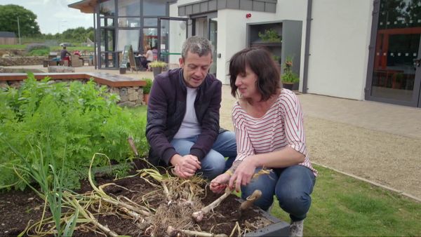 Grow, Cook, Eat - Garlic