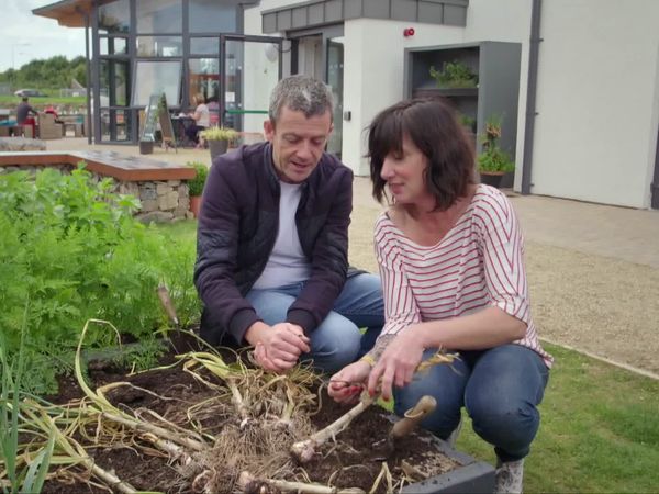 Grow, Cook, Eat - Garlic