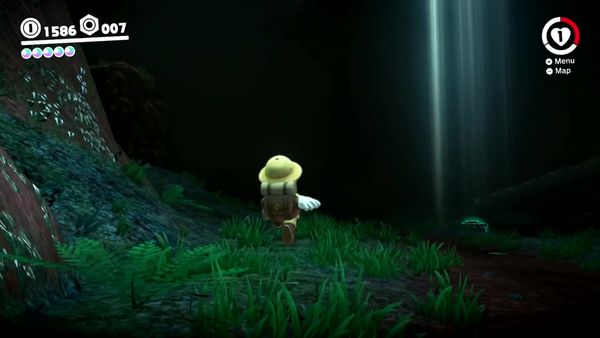 Super Mario Odyssey Gameplay - Zebra Gamer - Clip: Into the Dark Woods!