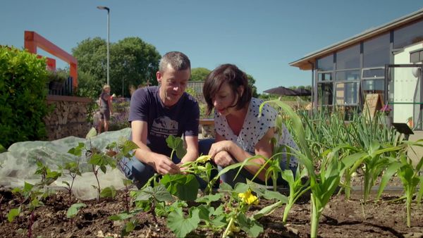 Grow, Cook, Eat - Pumpkins