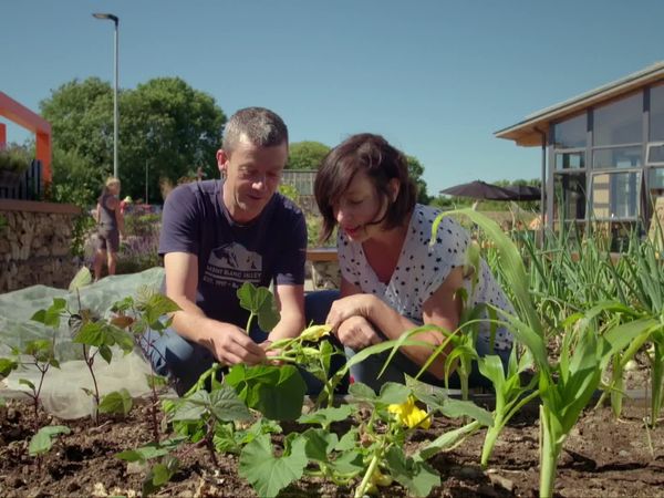 Grow, Cook, Eat - Pumpkins