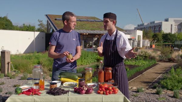 Grow, Cook, Eat - Chilli Peppers