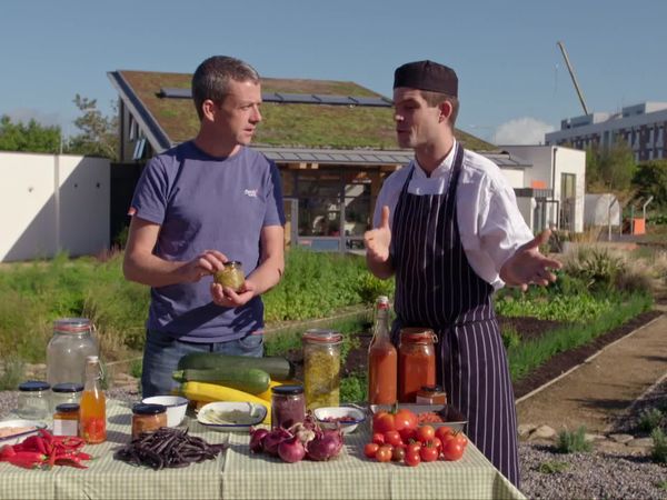 Grow, Cook, Eat - Chilli Peppers