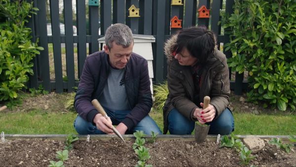 Grow, Cook, Eat - Broad Beans