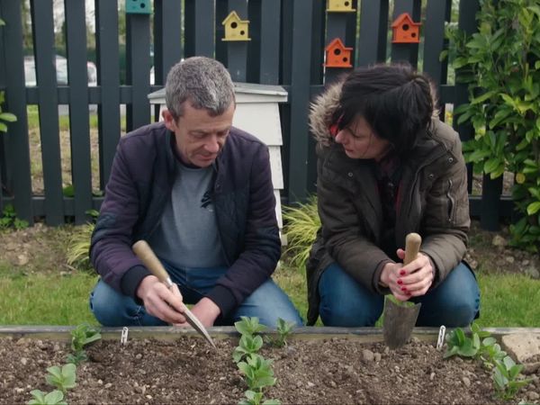 Grow, Cook, Eat - Broad Beans