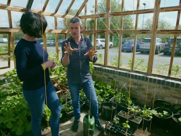 Grow, Cook, Eat - Cucumber