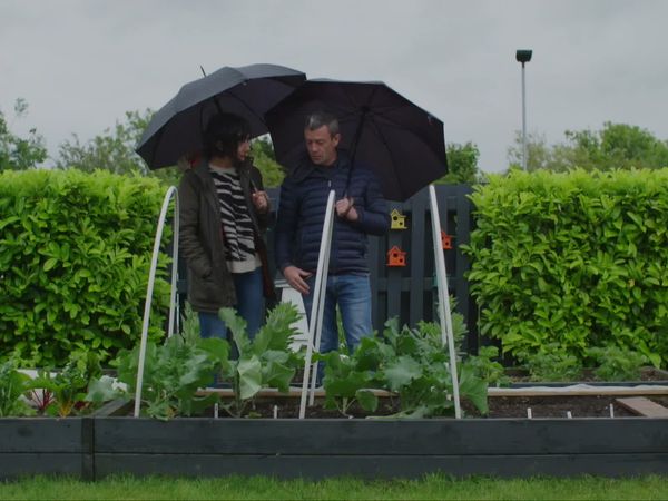 Grow, Cook, Eat - Broccoli