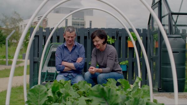 Grow, Cook, Eat - Chard