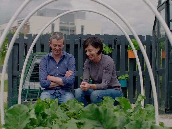 Grow, Cook, Eat - Chard
