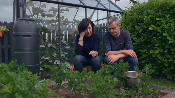 Grow, Cook, Eat - Celery and Celeriac