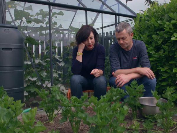 Grow, Cook, Eat - Celery and Celeriac