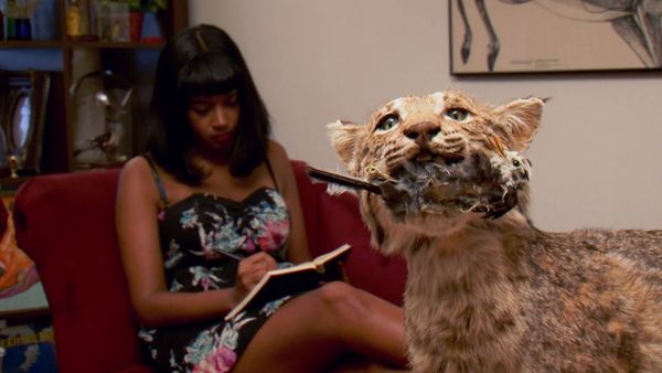 Minha Estranha Obsessão - Ciclismo Extremo / Taxidermia