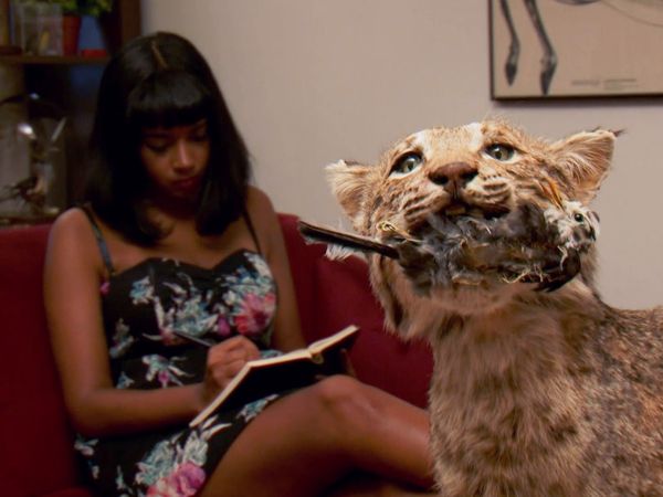 Minha Estranha Obsessão - Ciclismo Extremo / Taxidermia