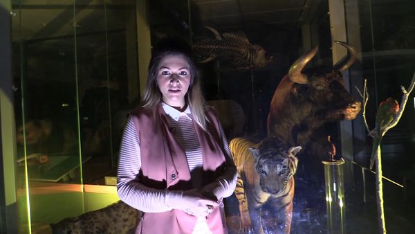 Ghost Dimension - A Night at The Leeds Museum Part 1