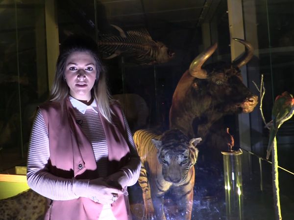 Ghost Dimension - A Night at The Leeds Museum Part 1