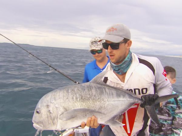 IFISH - Spanish Mackerel - Namotu Island, Fiji