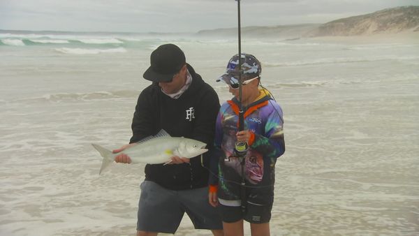 IFISH - Australian Salmon - Port Lincoln, SA