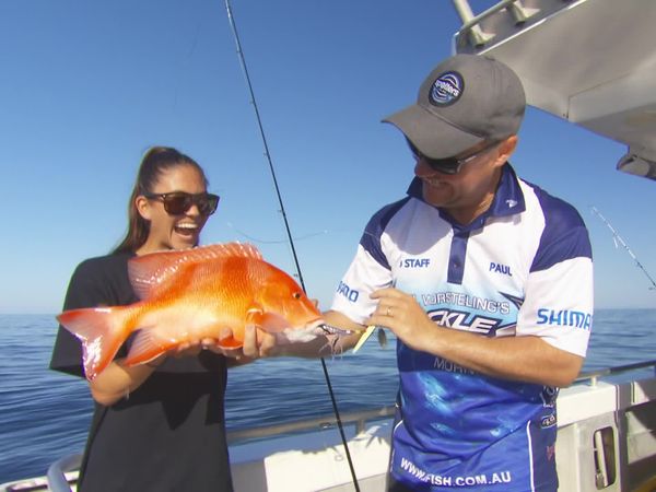 IFISH - Large Mouth Nannygai - Arafura Charters, NT