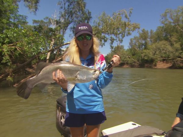 IFISH - Barramundi, Daly River and Cullen Bay, NT