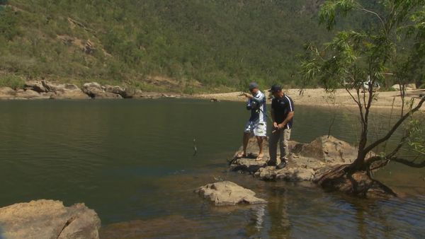 IFISH - Hinchinbrook Region, Queensland