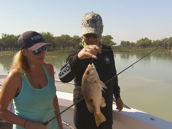 IFISH - Barramundi, Horizontal Falls, WA
