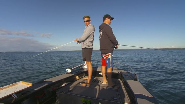 IFISH - Australian Salmon - Western Port, VIC