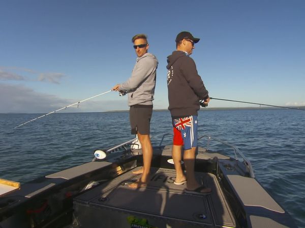 IFISH - Australian Salmon - Western Port, VIC
