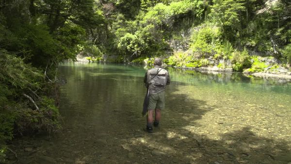 Pure Fly NZ - Backcountry Kaimanawas