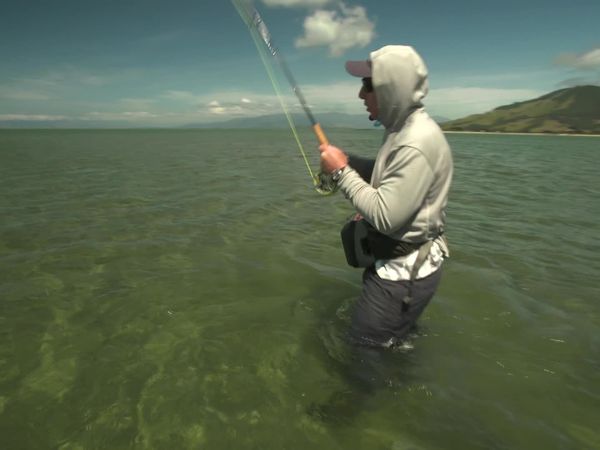 Pure Fly NZ - Golden Bay Kingfish