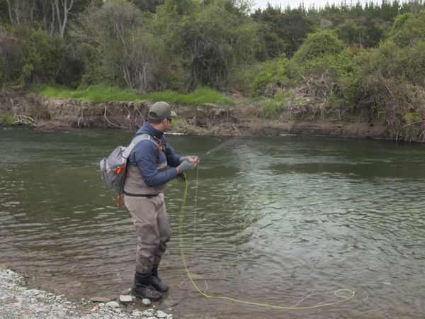 Pure Fly NZ - Tauranga Taupo