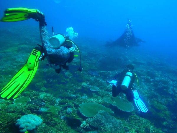 Anglers Digest - Fiji