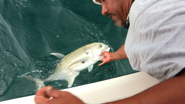 Anglers Digest - Cabo San Lucas