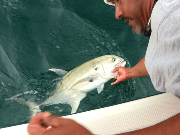 Anglers Digest - Cabo San Lucas
