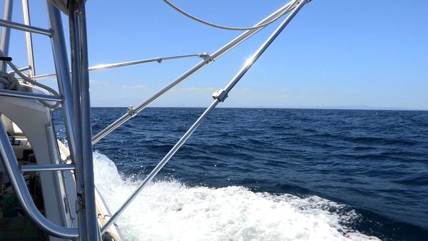 Anglers Digest - San Jose Del Cabo
