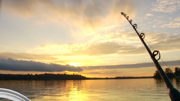 Fishful Thinking - Florida Bass and Flatfish Salmon