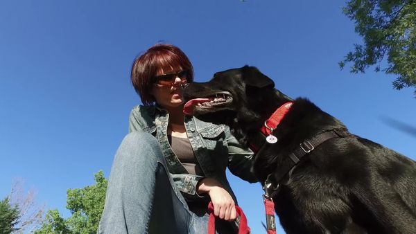 Cães de Terapia - Liane & Harley Jason e Blaze