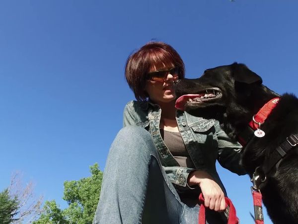 Cães de Terapia - Liane & Harley  Jason e Blaze