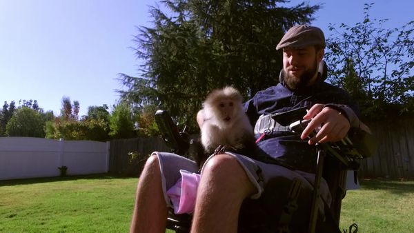 Cães de Terapia - Paighton & Portia, Travis & Siggy