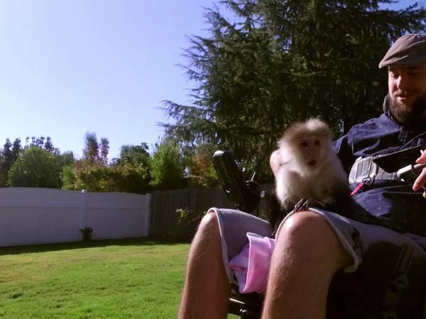 Cães de Terapia - Paighton & Portia, Travis & Siggy