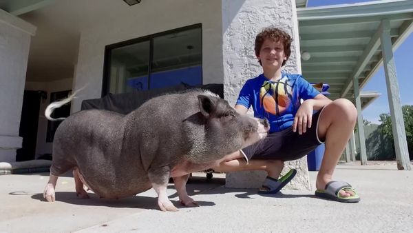 Cães de Terapia - Bonny & Carson, Julian & Maggie