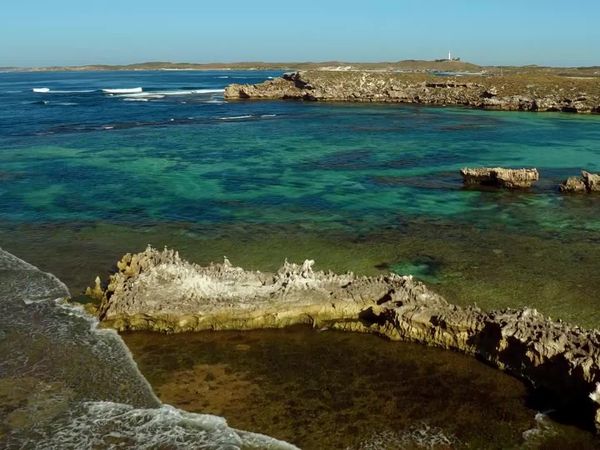 Ilha Rottnest: O Reino dos Quokka - Ilha Rottnest: O Reino dos Quokka