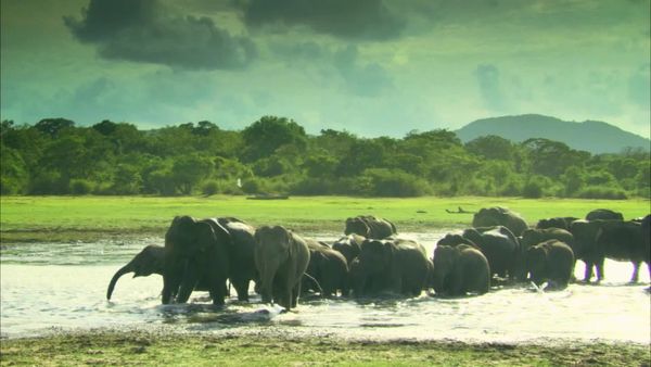 Ilhas Indômitas - Sri Lanka: Ilha das Monções