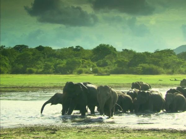 Ilhas Indômitas - Sri Lanka: Ilha das Monções