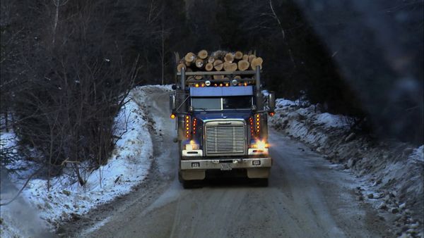 Nerves Of Steel - Forest Worker